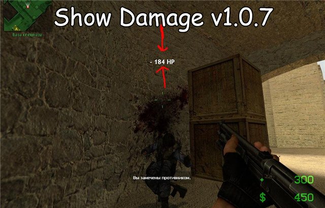 Show Damage v1.0.7