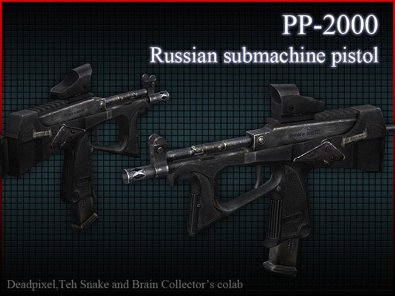 PP 2000